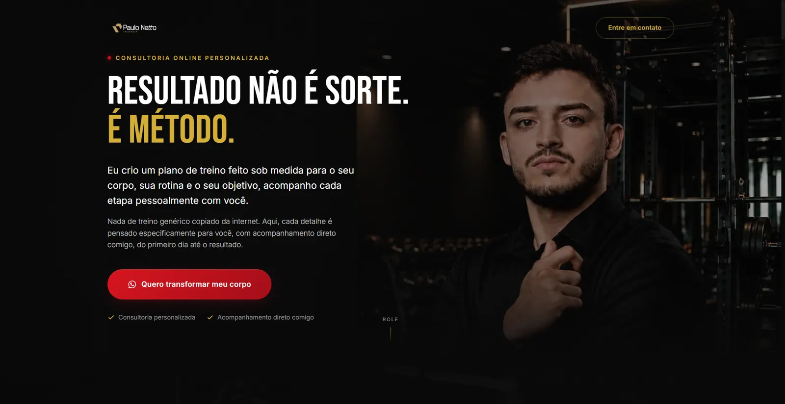 Preview do site Paulo Netto, Treinador